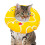 Cat Recovery Collar - Adjustable Soft Donut Cone for Cats, Full Neck Support, Comfortable Fabric, Non-Blocking Design 1