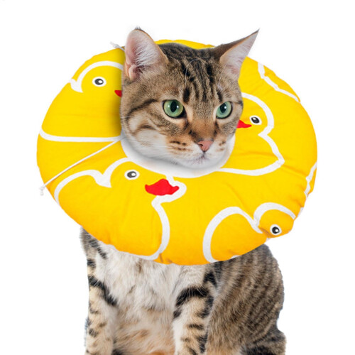 Cat Recovery Collar - Adjustable Soft Donut Cone for Cats, Full Neck Support, Comfortable Fabric, Non-Blocking Design
