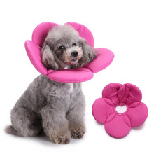 Cat Collar Adjustable Lick Protection Recovery Cone Soft Collar for Cats Dogs and Puppies Size Medium