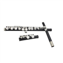 Flute Student C-Tone Flute 16 Holes Closed Hole Cupronickel With E Keys Accessories for Beginners and Advanced Players