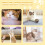Katzenkratzbaum – Elevated Interactive Cat Tree with Durable Sisal Wrap for Indoor Kittens and Active Play 3