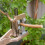 Manual Hand Pruning Shears for Grafting, Heavy-Duty Garden Tree Cutting Scissors, Durable Vegetable Grafter Tool 2