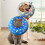 Inflatable Pet Collar with Protective Layer for Dogs, Puppies, and Kittens, Comfortable and Adjustable Size 2