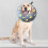 Inflatable Pet Collar with Protective Layer for Dogs, Puppies, and Kittens, Comfortable and Adjustable Size 5