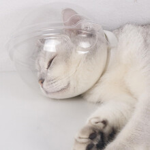 Katzenmaulkorb Transparenter Atmungsaktiver Katzenmaulkorb Verstellbar Für Fellpflege Baden Rasieren