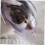 Transparent Cat Muzzle Toy Adjustable Short Muzzle for Cats 11.5X8X7.5CM Practical Pet Care Accessory 3