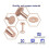 Copper Rivets and Burrs, Solid Brass Rust-Proof Studs Leather Copper Rivet compatible Leather Pure Copper Rivet Setting Tool_Special Gift 2