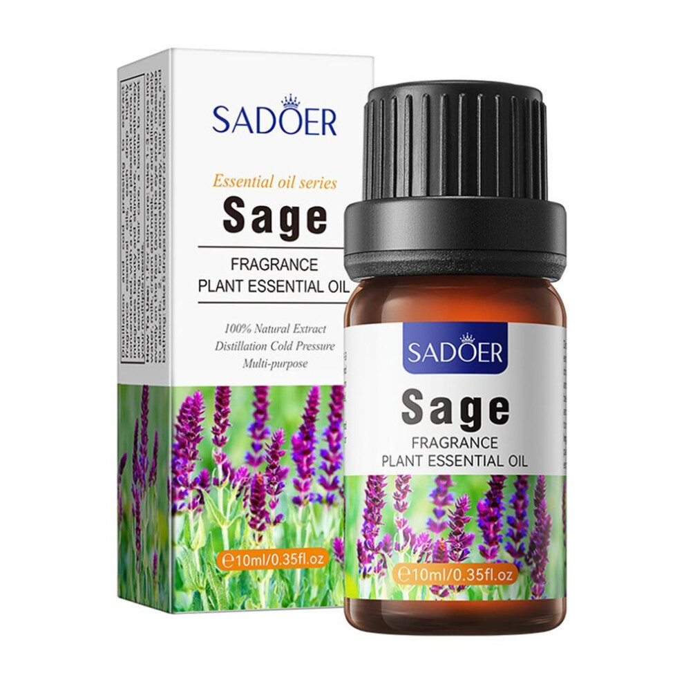 (Type#25) Sadoer Pine Fragrance Essential Oil Nourishes Skin And Body-image-OPC-PK5VHMY-NEW