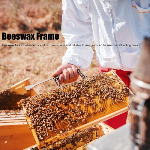 Bee Honey Leaves Wax Primer Sheets, 10-Pack Beeswax Sheets for Beekeeping, Candle Making, Bee Frames 1