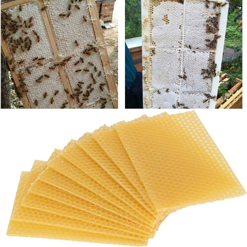 Bee Honey Leaves Wax Primer Sheets, 10-Pack Beeswax Sheets for Beekeeping, Candle Making, Bee Frames 2
