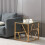 Comfy Living (Gold) Glass and Metal Square End Table Side Table In Gold Or Silver 4