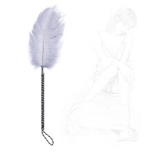 Feather Tickler Paddle for Couples, Soft Feather Massage Tool, Body Flirting Sex Toy, SM Bondage Restraints