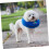 Inflatable Dog Collar for Small Dogs, Comfortable Sleeping Pet Accessory, Adjustable Size, Soft Material 3