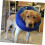 Inflatable Dog Collar for Small Dogs, Comfortable Sleeping Pet Accessory, Adjustable Size, Soft Material 5
