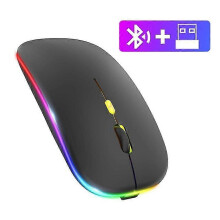 Souris sans fil Bluetooth 5.1 2,4 GHz avec récepteur USB, rechargeable, silencieuse et ergonomique