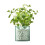 LSA International LSA Canopy Recycled Sustainable 13.5cm Glass Planter 3