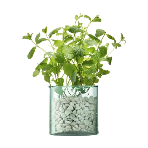 LSA International LSA Canopy Recycled Sustainable 13.5cm Glass Planter 2