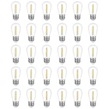 Convient pour les guirlandes lumineuses d'extérieur de 30 paquets, ampoule de rechange étanche S14, douille E26
