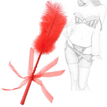 Feather Tickler BDSM Flogger Whip for Couples, Soft Love Feather Clit Paddle, Bed Restraints, Role Play Sex Toy