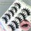 (Type#2) Honey Box Japanese Hard Stem Big Devil False Eyelashes Thick Photogenic Cos 5