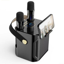 Karaoke Machine for Adults and Kids, Bluetooth Portable Speaker with Dual Microphones, Ideal for Parties and Picnics, Black