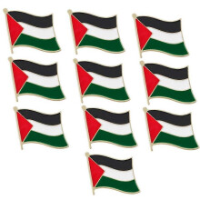 (10pcs) 2-10pcs Palestine Palestinian Flag Pin Badge Lapel - Free Palestine National Enamel