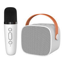 Karaoke Machine Set Portable Bluetooth Speaker with HiFi Surround Sound and Microphone for Home Party KTV Ivory White