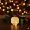 Frosted Christmas Bauble Warm White 10cm Micro LED Battery Ball Light 5