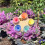 Bee Insect Drinking Cup - Colourful Pollinator Watering Cup for Bees, Safe Drinking Water Source, White, Durable Design 3