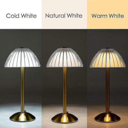 Lampe de table LED sans fil, lampe de table à piles, lampe de table LED à intensité variable 2