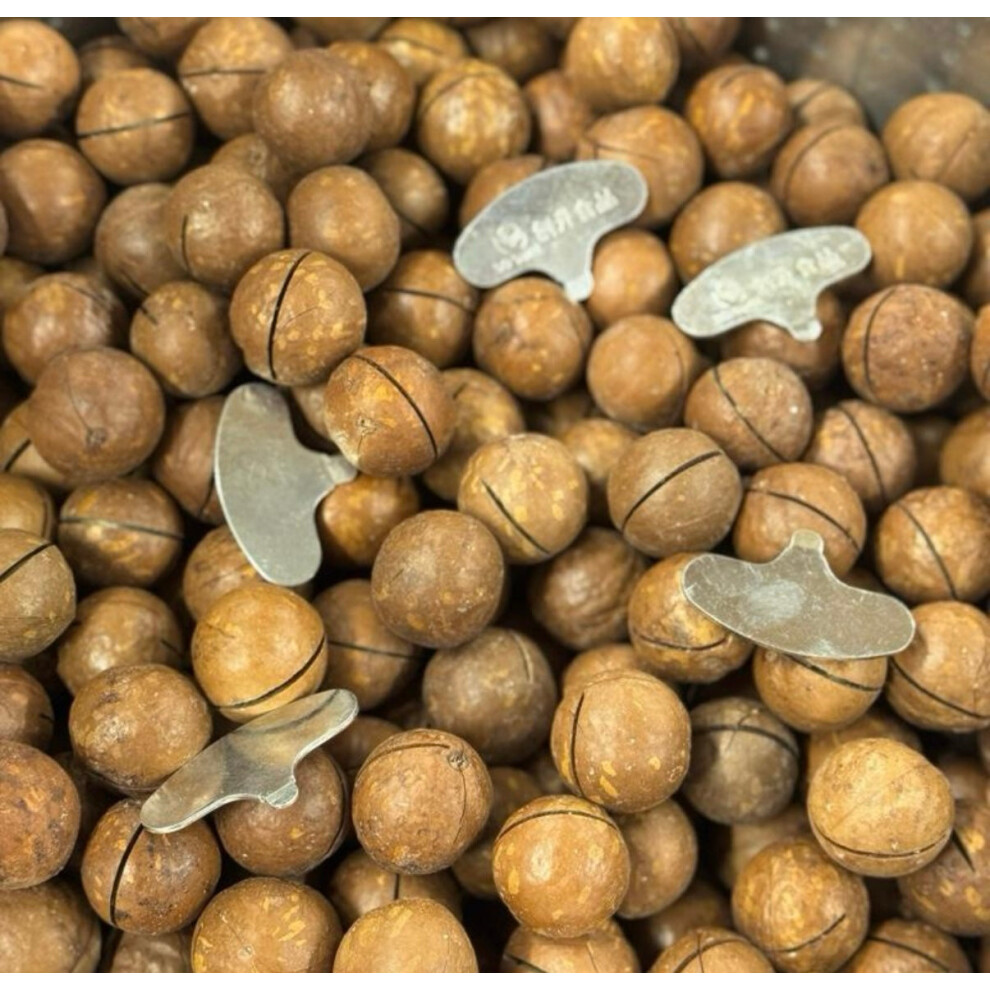 Pakwatandriedfruits Macadamia Nuts Snack Dried Nuts Dry With Key Opener 500G