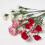 Homescapes Pink Artificial Carnation Spray Single Stem Set of 3, 55cm 3