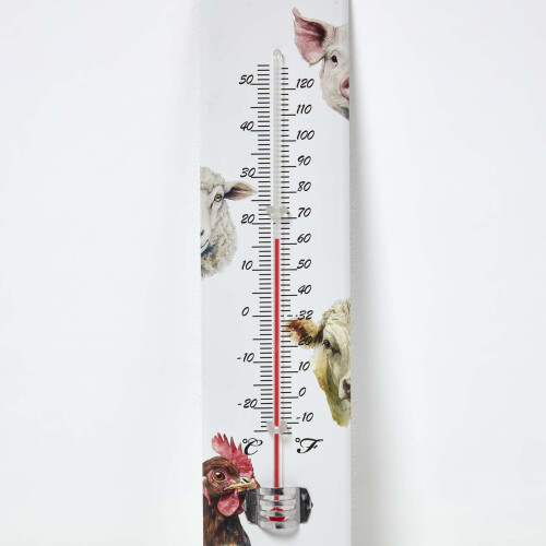 Homescapes Outdoor Thermometer with Farmyard Animal Design 1