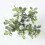 Homescapes Artificial Green Mistletoe Stem 2