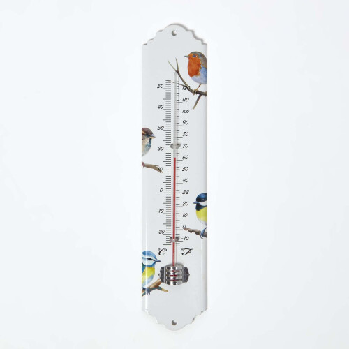 Homescapes Outdoor Thermometer with Bird Design