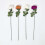 Homescapes Set of 4 Artificial Autumn Rose Stems 4