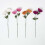 Homescapes Set of 4 Artificial Autumn Chrysanthemum Stems 4