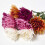Homescapes Set of 4 Artificial Autumn Chrysanthemum Stems 3