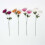 Homescapes Set of 4 Artificial Autumn Chrysanthemum Stems 2
