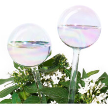 2PCS Clear Glass Gardening Watering Globes Self-Watering Watering Globes Automatic Plant Waterer Bulbs
