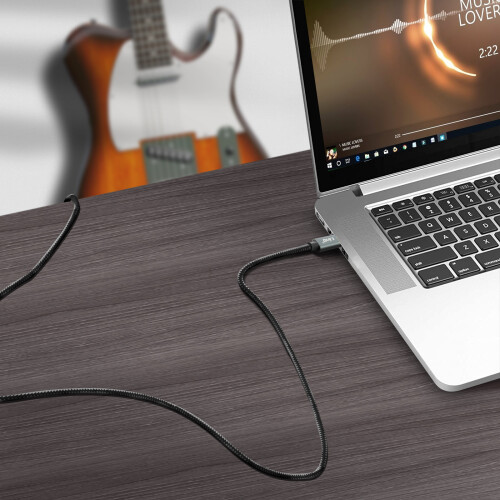 LinQ Cabo divisor USB-C a 2 x 6,35mm 2