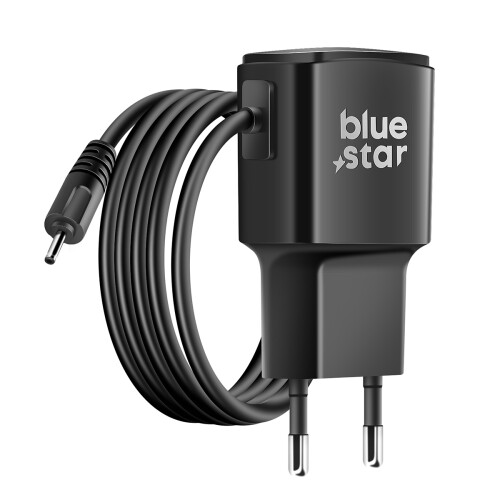 Blue Star Carregador principal compatível com a rede eléctrica
