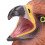 Bald Eagle Hand Puppet Realistic Open Movable 15