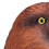 Bald Eagle Hand Puppet Realistic Open Movable 14