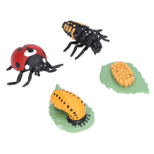 Life Cycle Figurines Lifelike Vinyl Ladybug Life