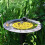 Bee Feeder Plastic Drinking Trough Set, 2 Pcs Multi-Colored Beekeeping Tools for Hive Maintenance and Feeding 5