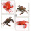 Electric Crab Toy with Remote Control Simulate 6