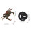 Electric Crab Toy with Remote Control Simulate 3