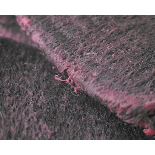 Spontex 10 Soap Scourer Pads 2