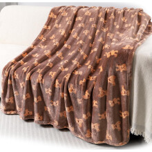 Toddler Wool Blanket - Soft & Warm 50x60 Inches, Unisex for Boys & Girls with Cute Cartoon Bear Print, Cozy Plush Flannel Blanket Ideal for School/Na